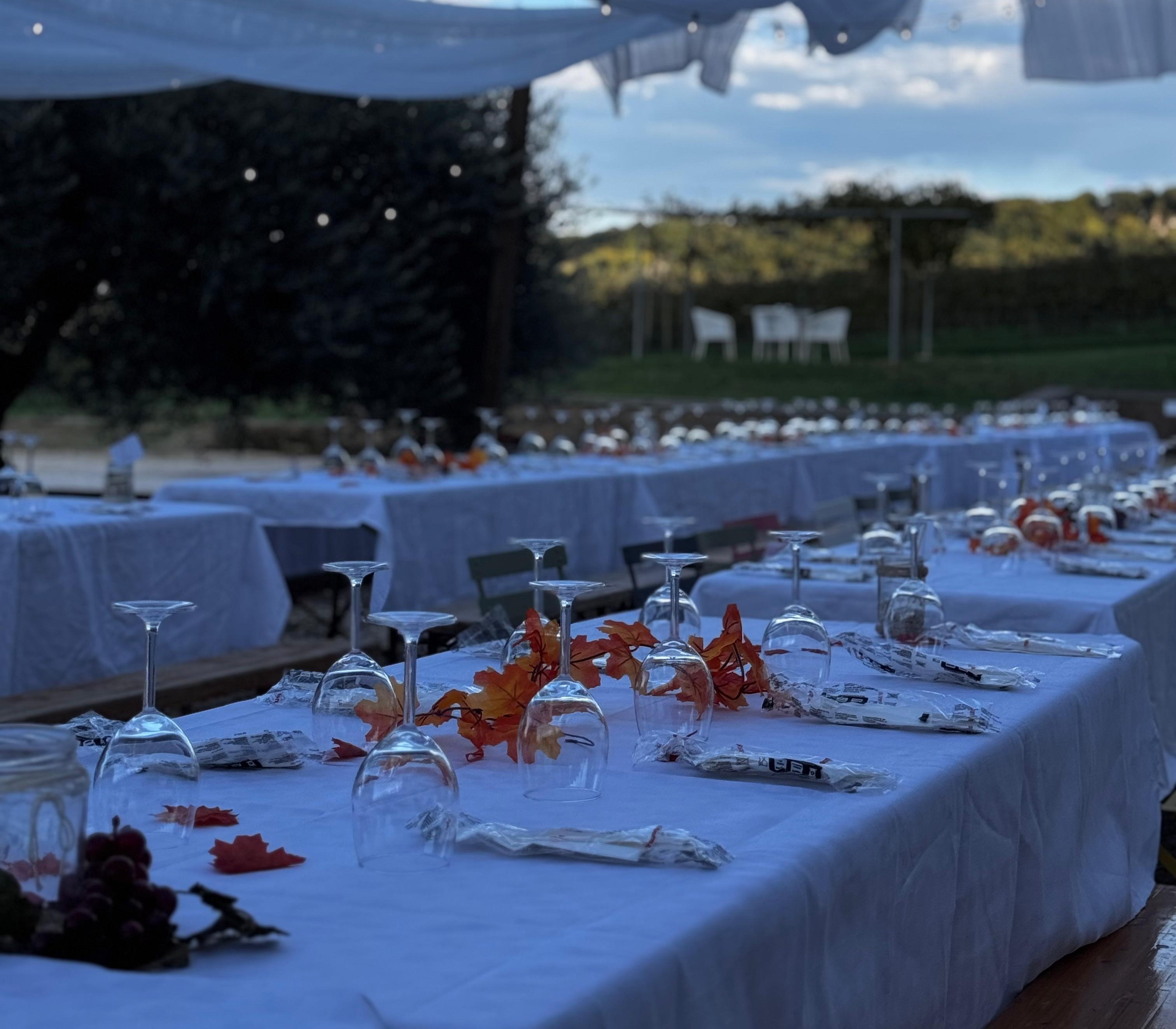 Cena In Vigna
