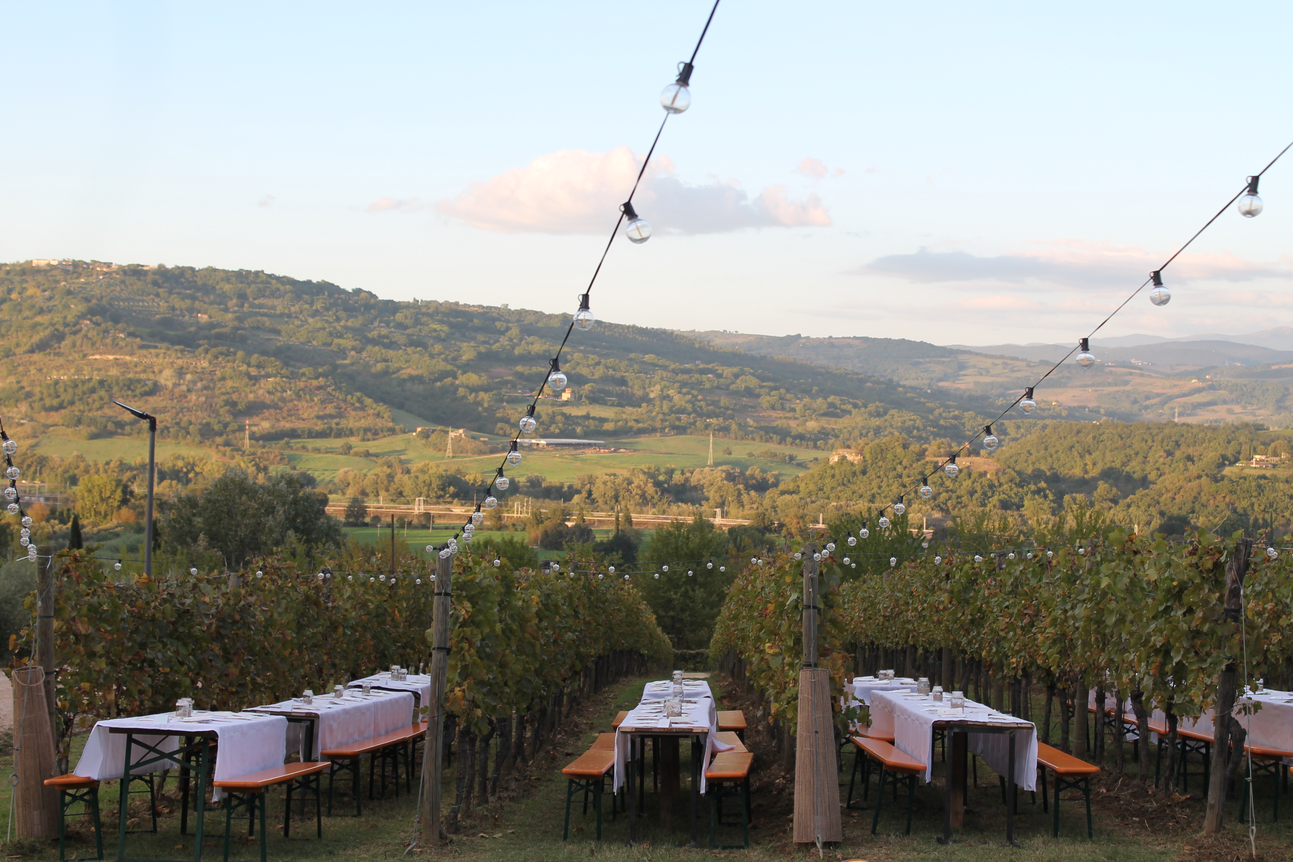 Cena In Vigna